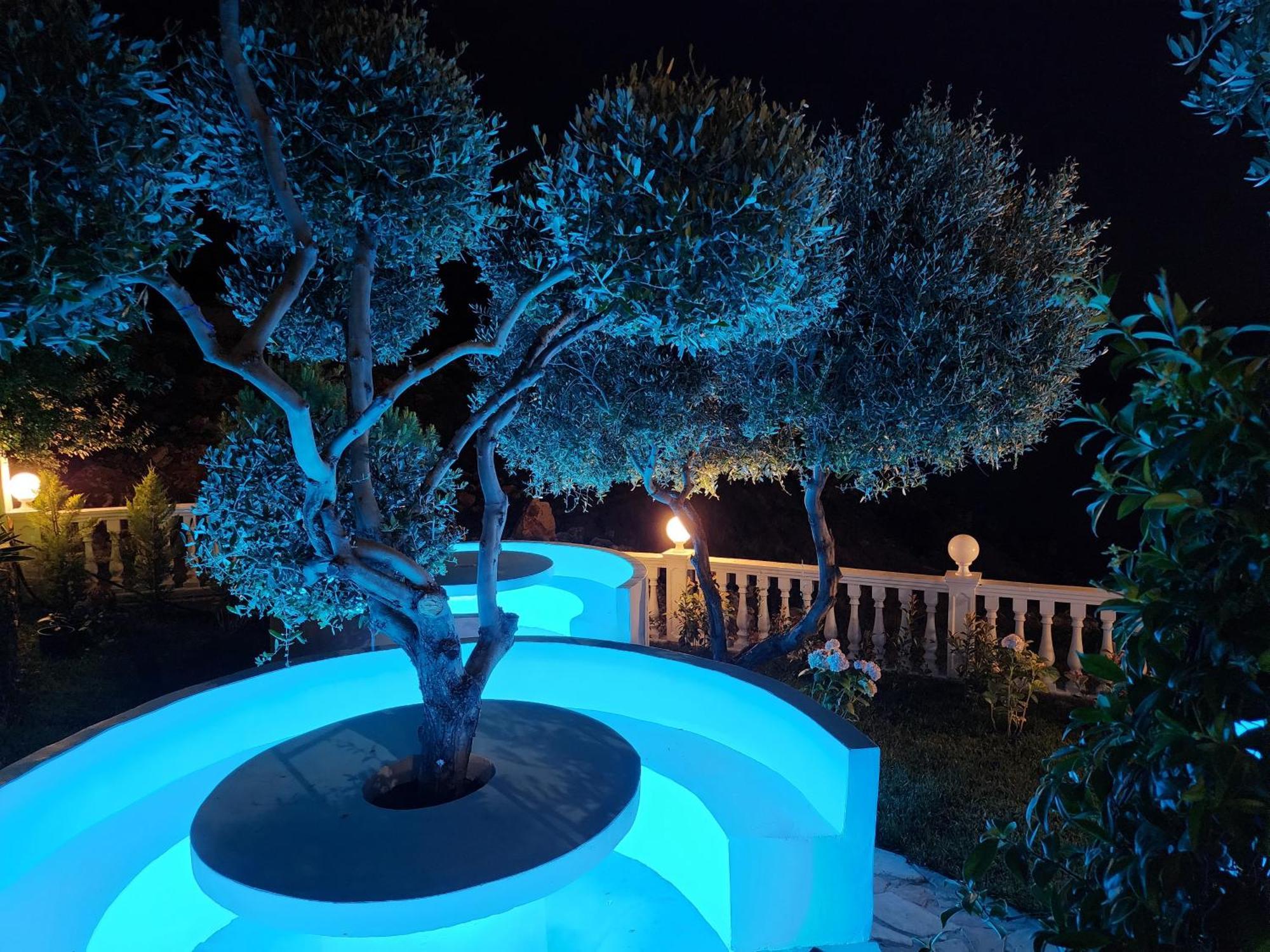 Festim Villa Hotel Kanine 外观 照片